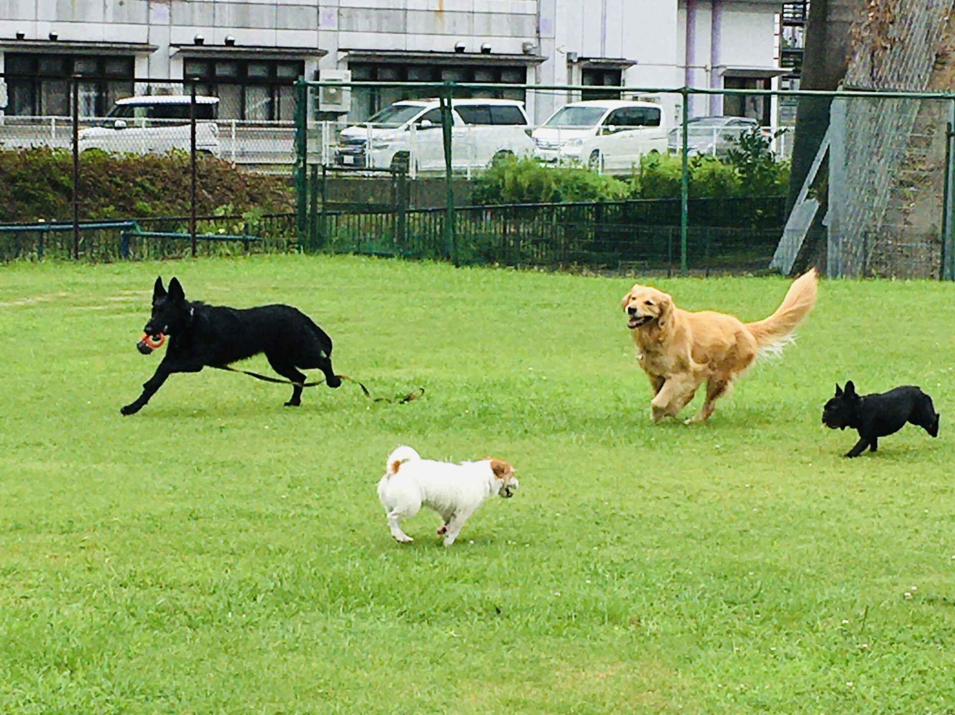 ファイル 8370-2.jpeg