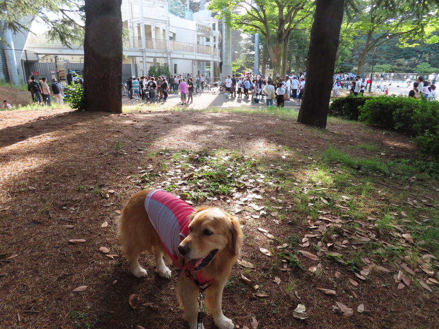 ファイル 8371-3.jpg