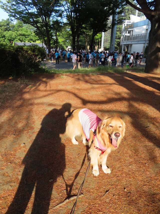 ファイル 8371-4.jpg