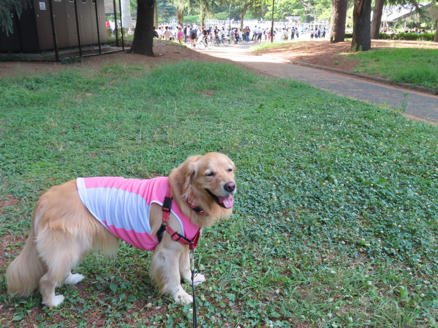 ファイル 8371-5.jpg