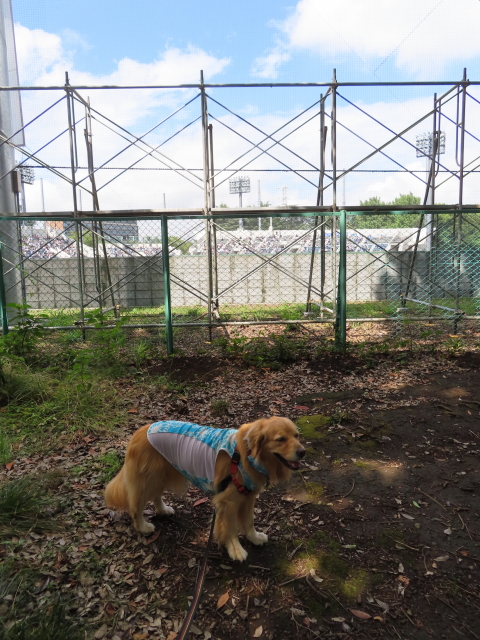 ファイル 8373-2.jpg