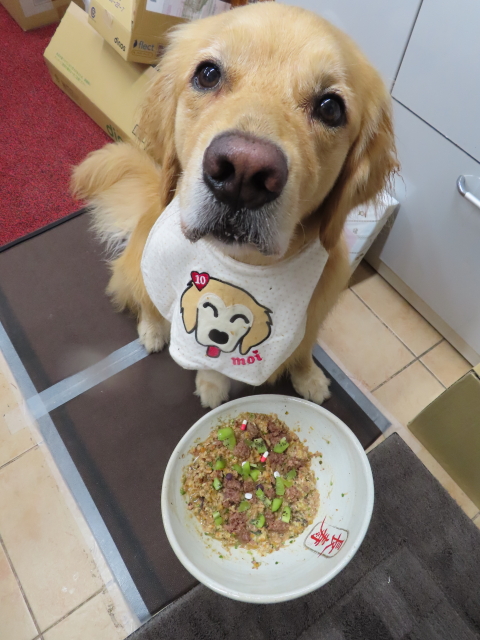 ファイル 8374-3.jpg