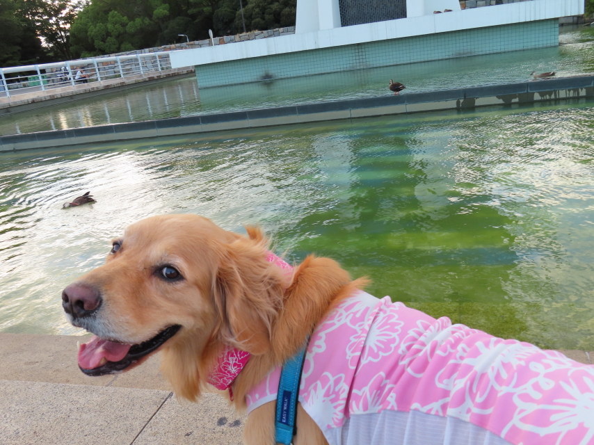 ファイル 8377-2.jpg