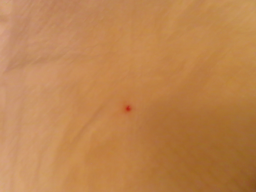 ファイル 8377-3.jpg