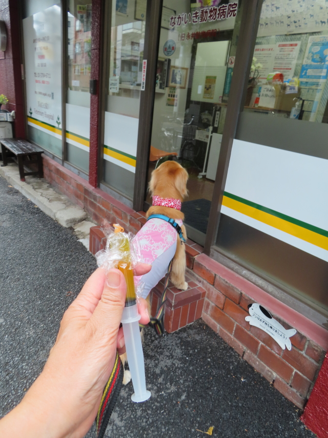 ファイル 8377-4.jpg