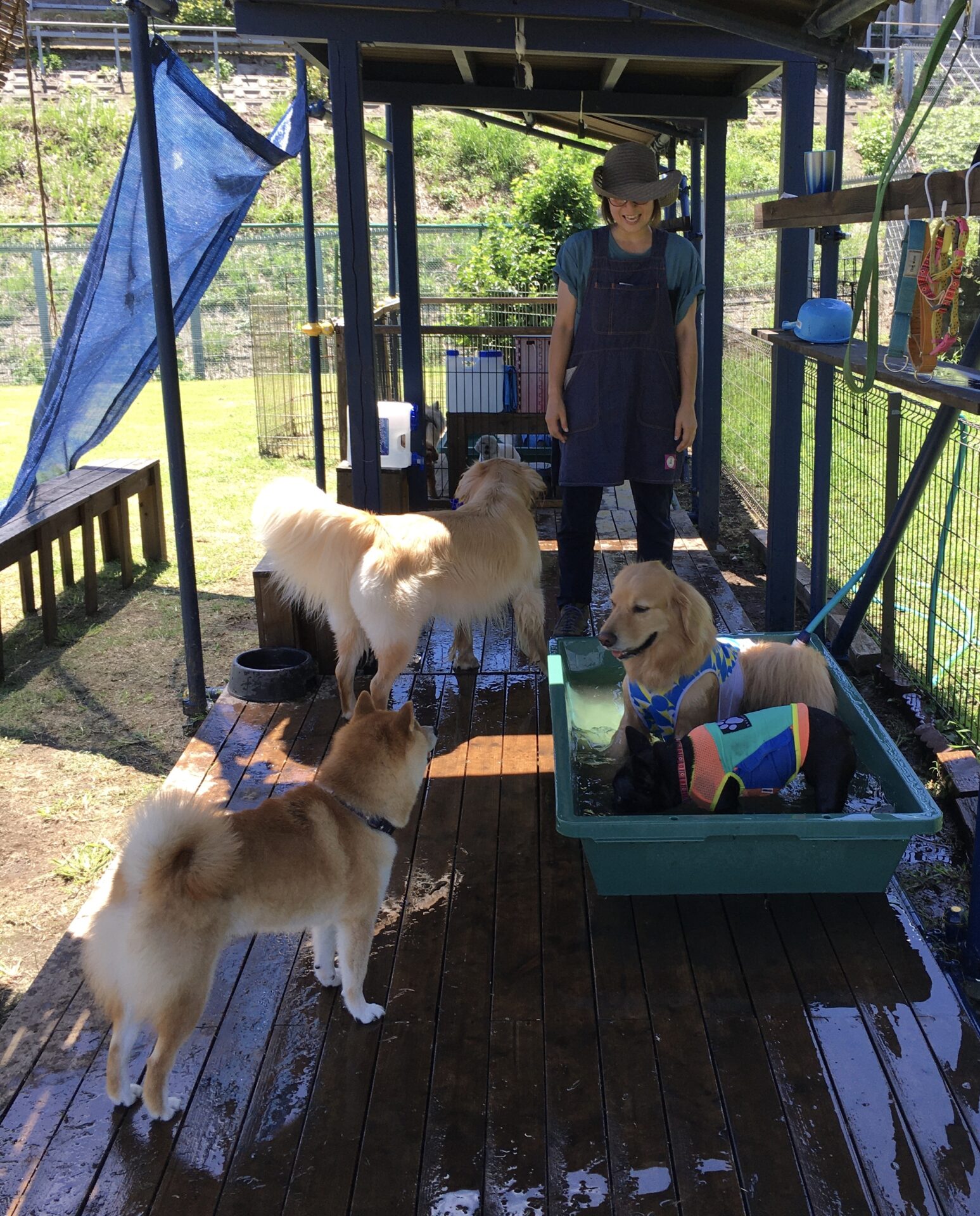 ファイル 8379-3.jpeg