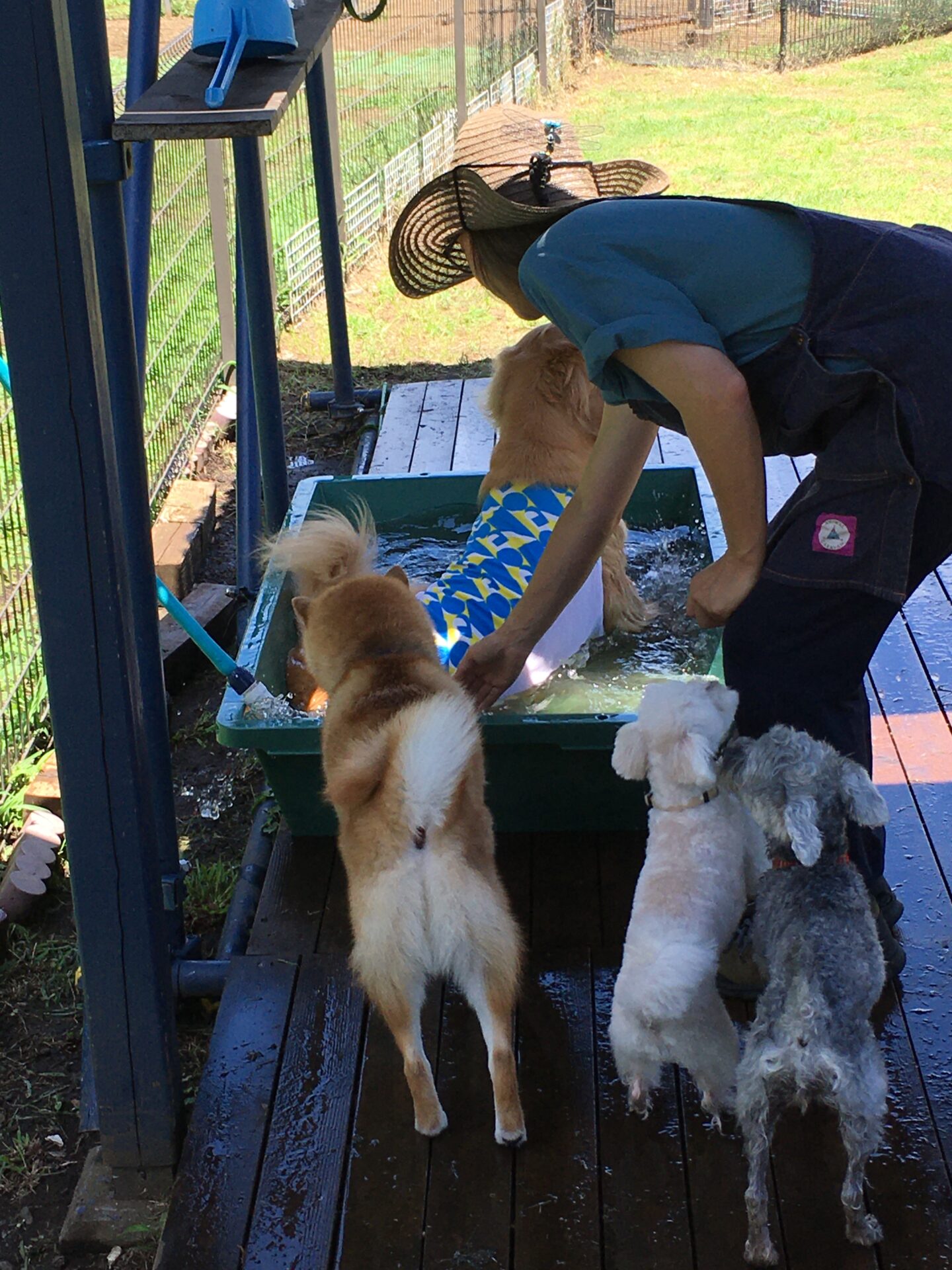 ファイル 8379-4.jpeg