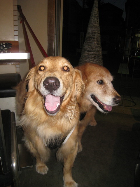 ファイル 838-4.jpg