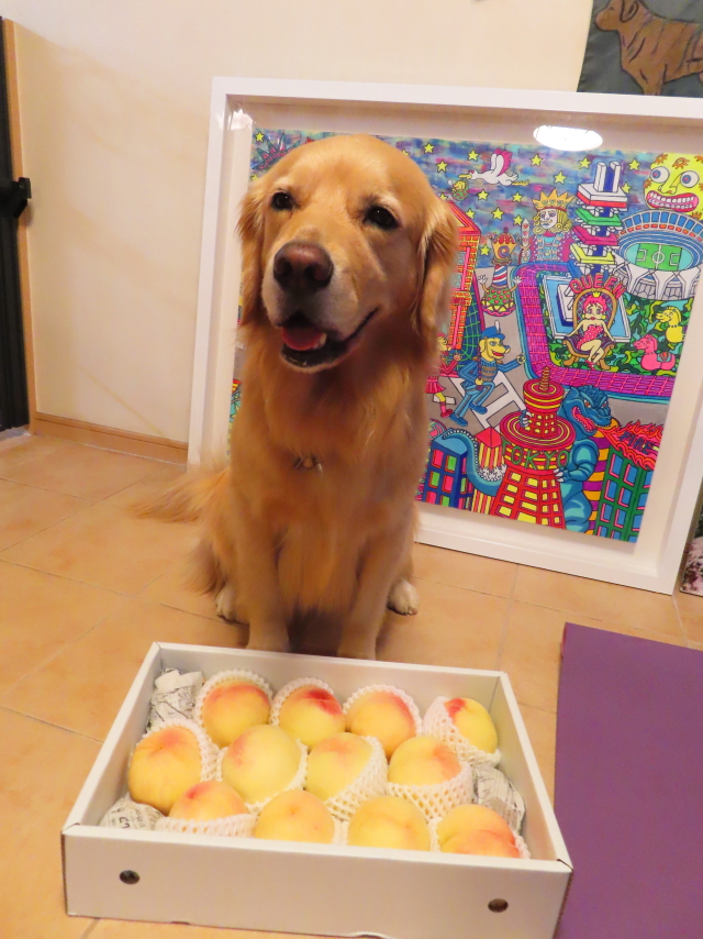 ファイル 8381-2.jpg