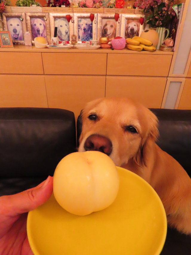 ファイル 8381-3.jpg