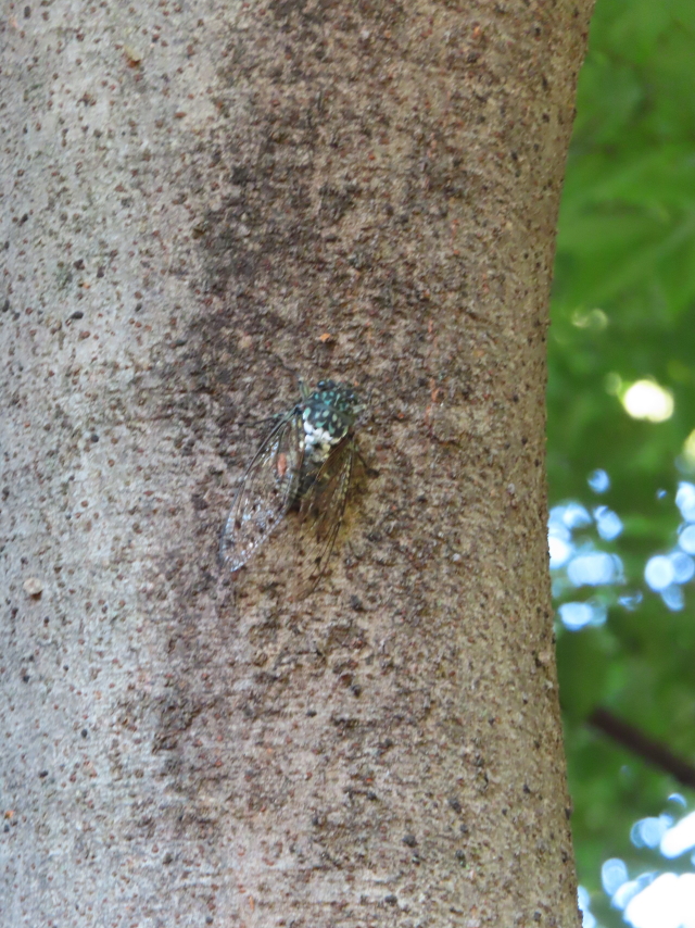 ファイル 8382-3.jpg