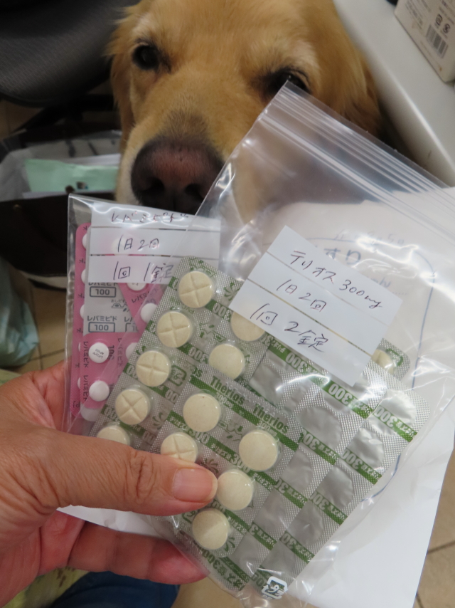 ファイル 8383-3.jpg