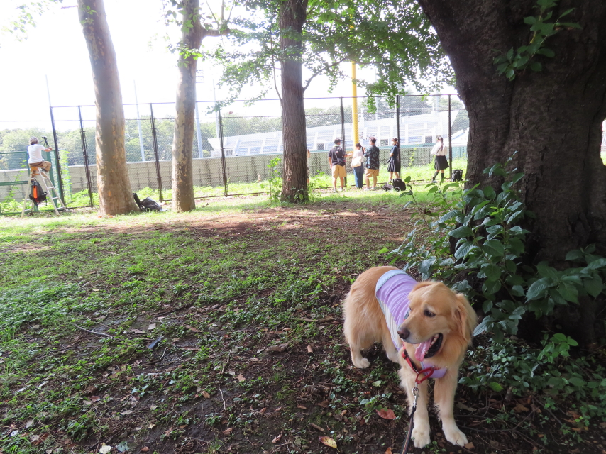 ファイル 8383-5.jpg