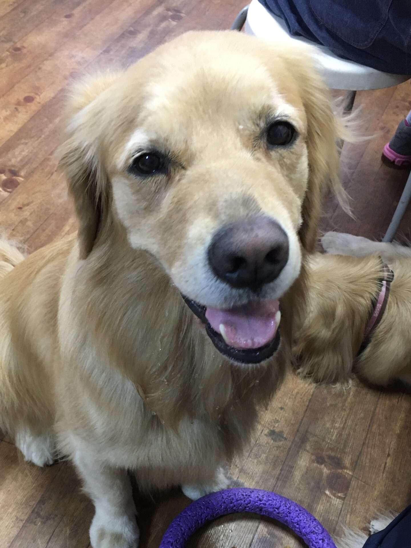 ファイル 8384-5.jpeg