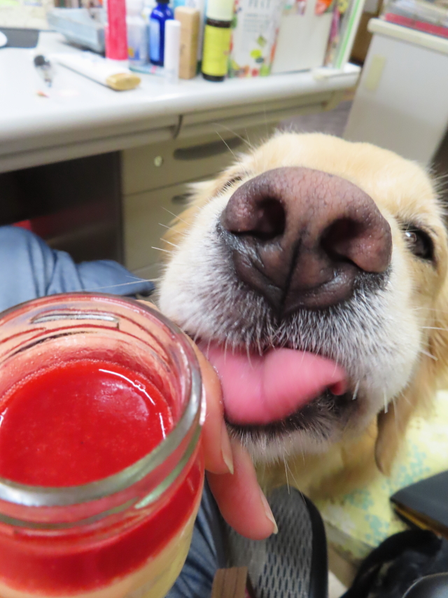 ファイル 8385-1.jpg