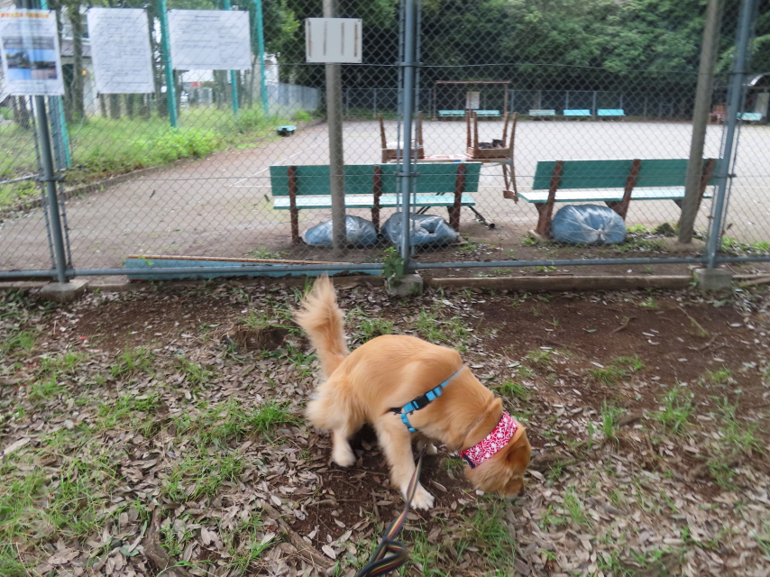 ファイル 8385-2.jpg