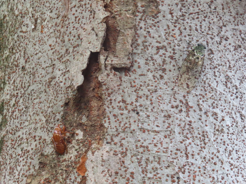 ファイル 8386-2.jpg