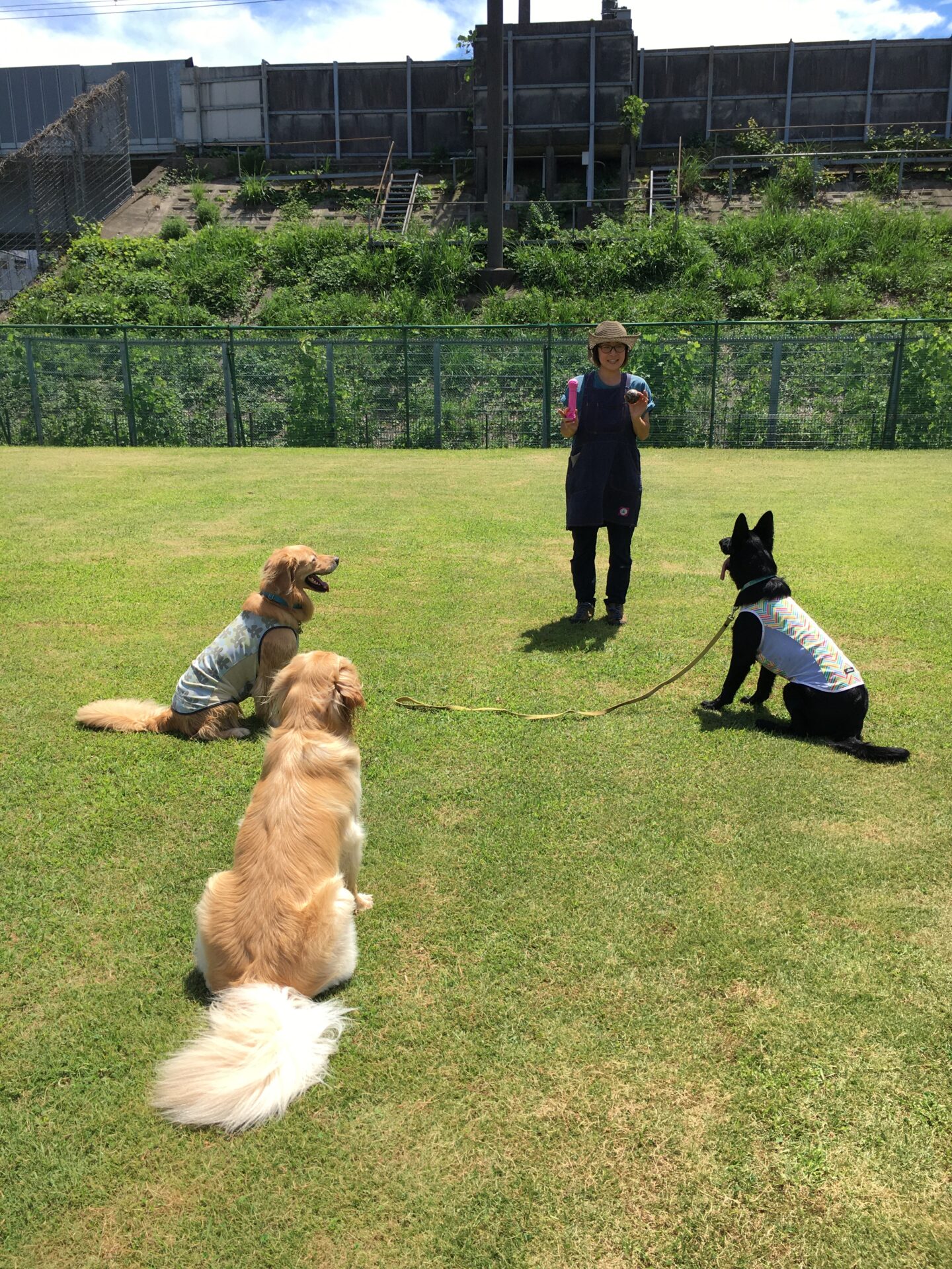 ファイル 8387-2.jpeg