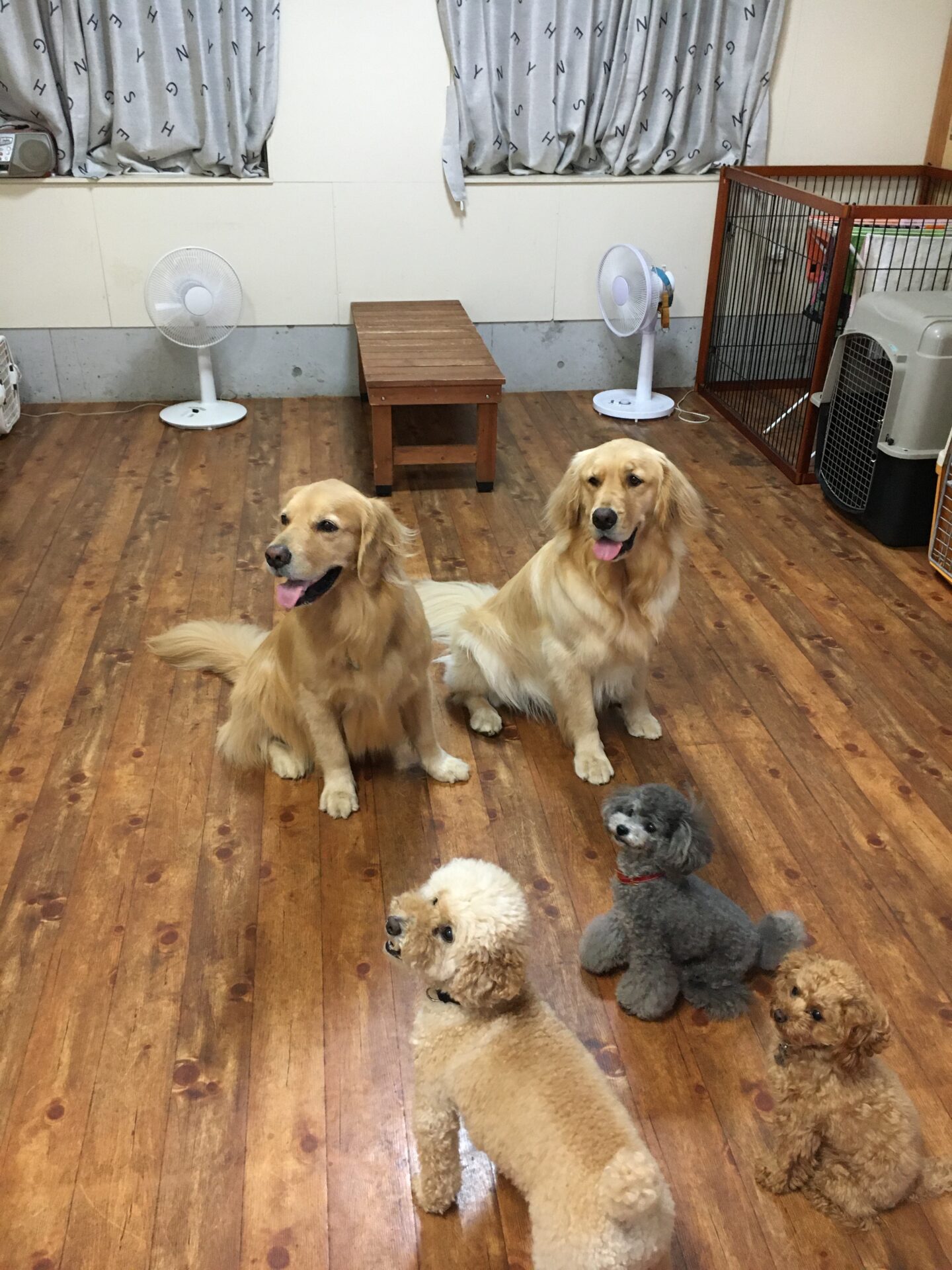 ファイル 8387-5.jpeg