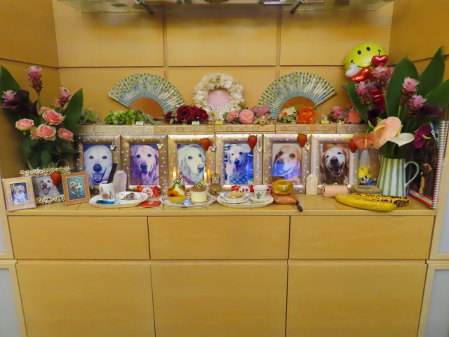 ファイル 8388-1.jpg