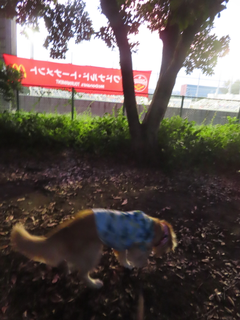 ファイル 8388-2.jpg