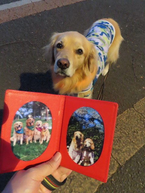 ファイル 8388-4.jpg