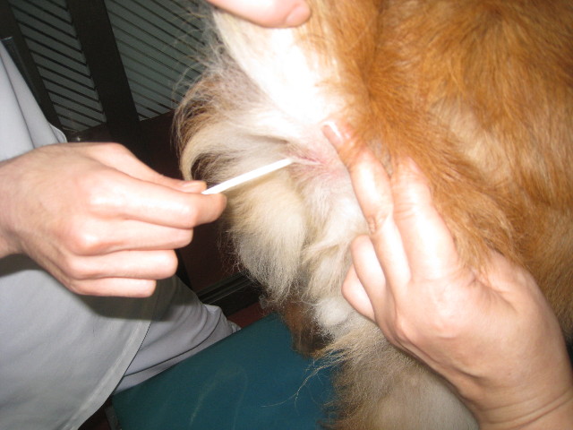 ファイル 839-1.jpg