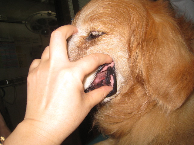 ファイル 839-4.jpg