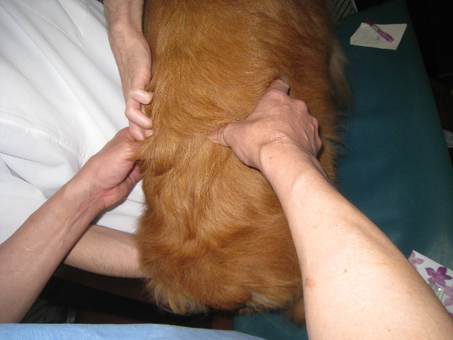 ファイル 839-5.jpg