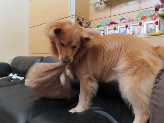 ファイル 8390-4.jpg