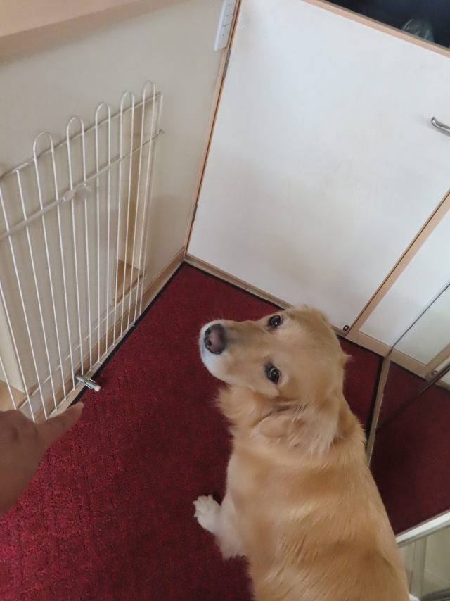 ファイル 8393-1.jpg