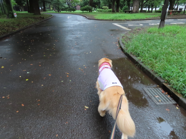 ファイル 8394-4.jpg