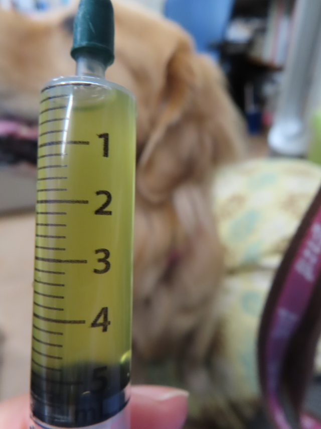 ファイル 8395-1.jpg