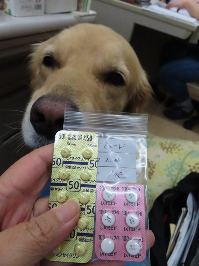 ファイル 8395-2.jpg