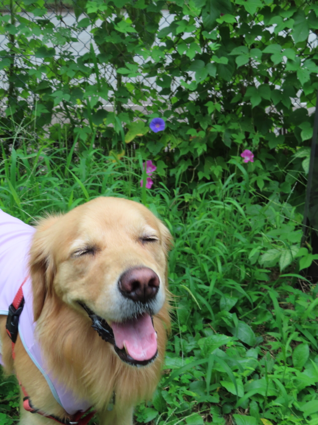 ファイル 8395-4.jpg