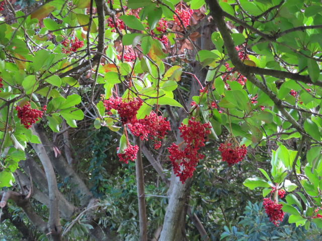 ファイル 8395-5.jpg