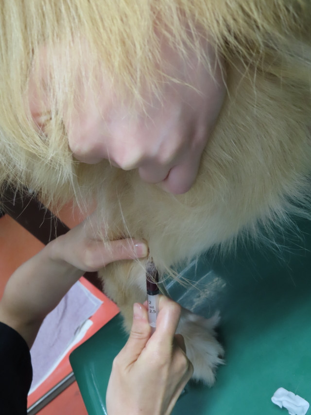 ファイル 8397-3.jpg