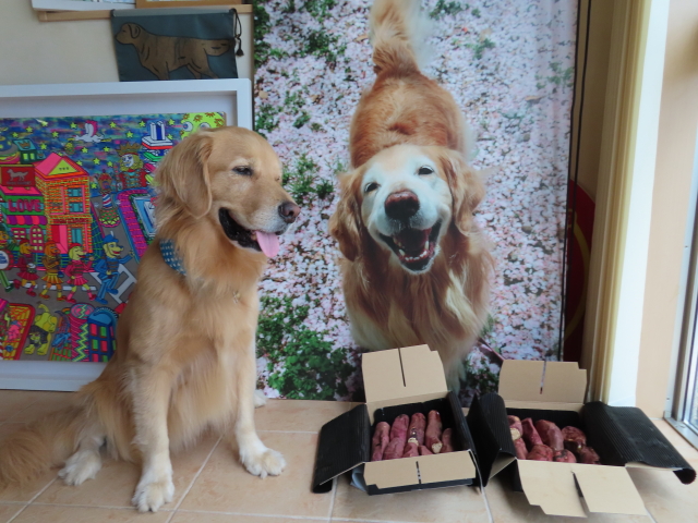 ファイル 8399-2.jpg