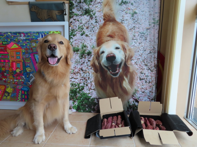 ファイル 8399-3.jpg