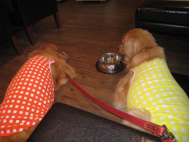 ファイル 840-4.jpg