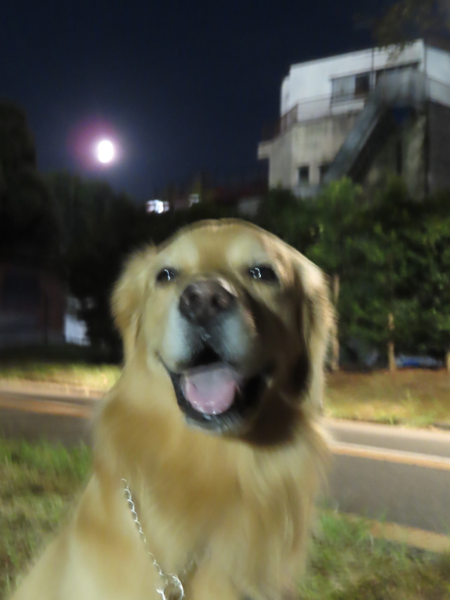 ファイル 8401-2.jpg