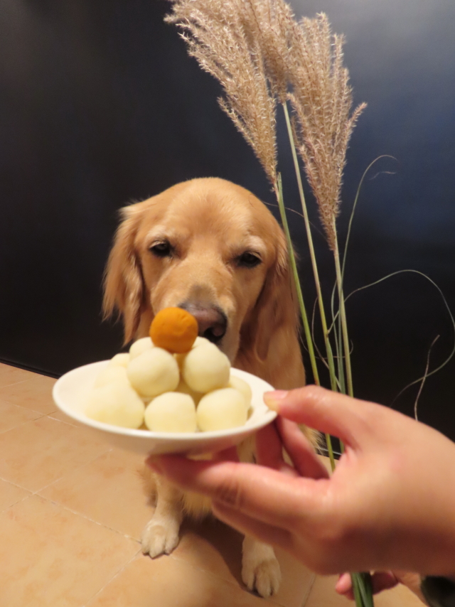 ファイル 8401-4.jpg