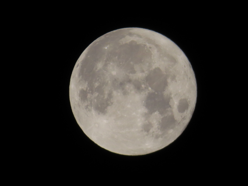 ファイル 8402-1.jpg