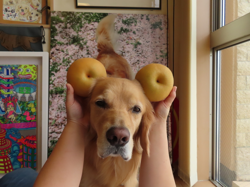 ファイル 8402-4.jpg