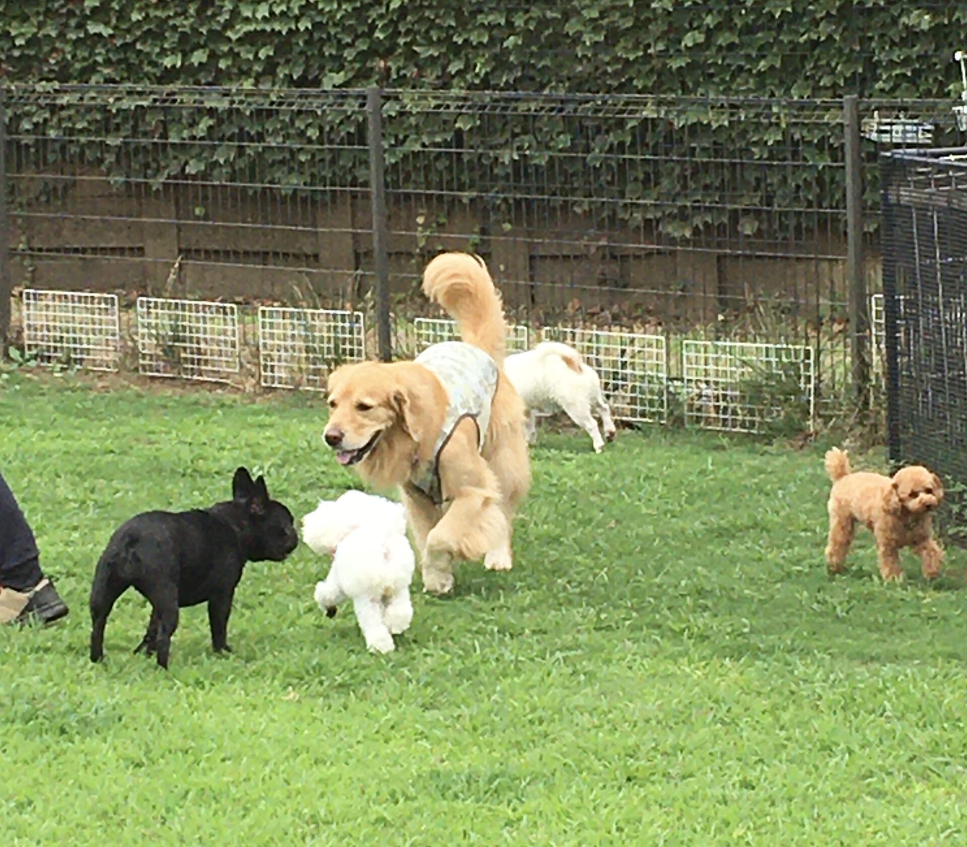 ファイル 8404-3.jpeg