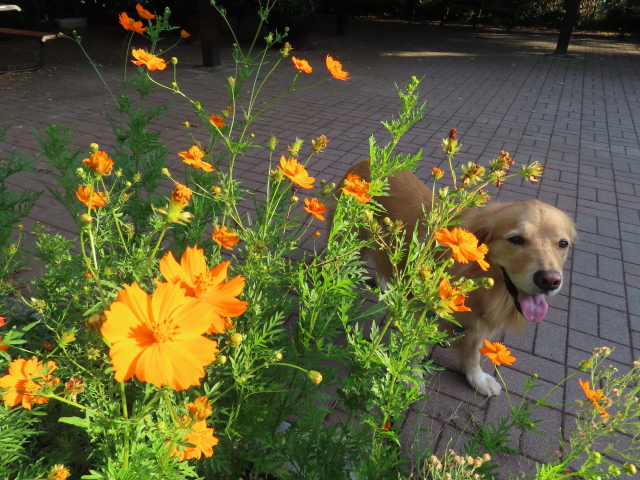 ファイル 8405-1.jpg