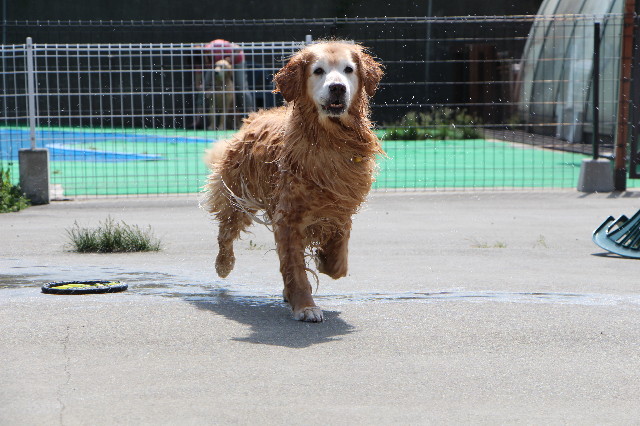 ファイル 8406-3.jpg