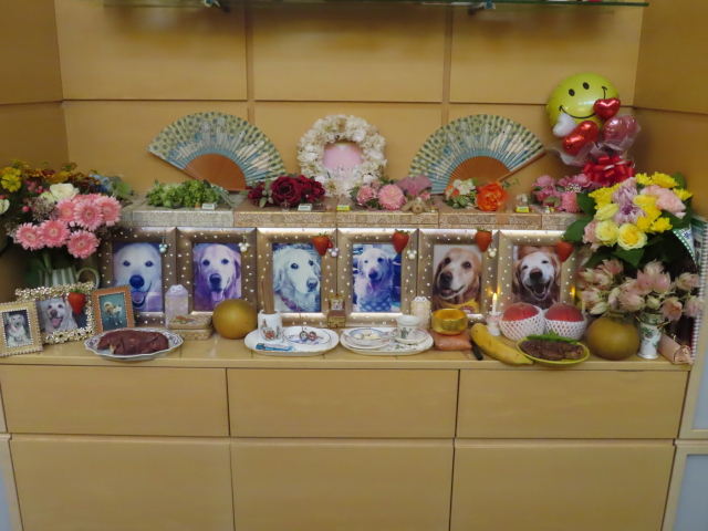 ファイル 8406-4.jpg