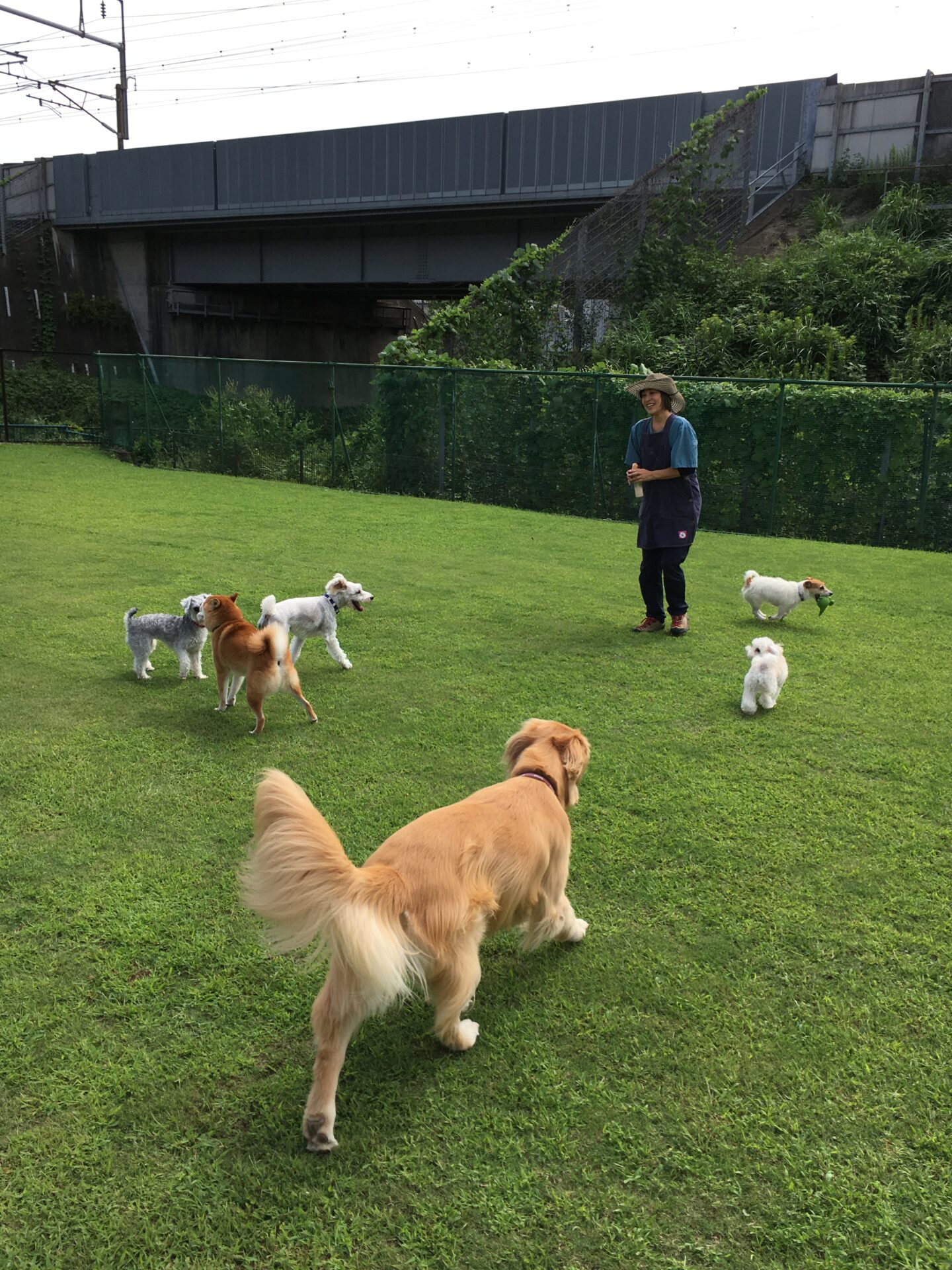 ファイル 8408-5.jpeg