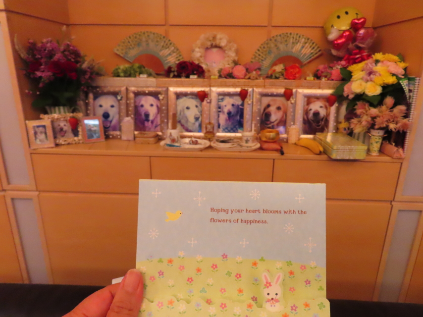 ファイル 8409-2.jpg